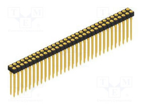 MK.207.62.G