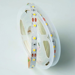 Taśma LED 2835 60 diod/m 24W 4,8W/m 12V IP20 CW 6500K /5m/ 1 PCB