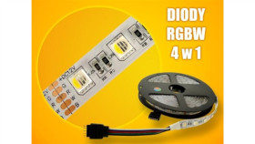 Taśma Led Premium 5050 Rgbcw 5M/300Diod