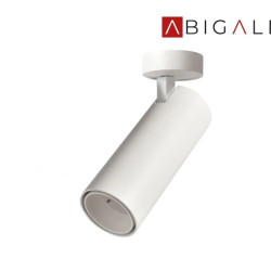 Abigali Oprawa nastropowa biała Posh Cree COB 12W 3000K CRI80 36, ABIGALI-LWQT-W-12-24WW-DIM