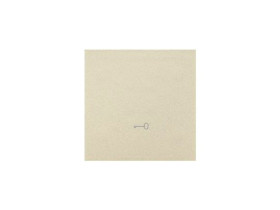 SIMON 55 Klawisz pojedynczy z piktogramem „klucz” do łączników/przycisków szampański mat TKWK1/144 KONTAKT SIMON