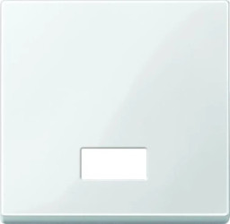 Merten System M Klawisz pojedynczy z okienkiem biały polarny MTN432819