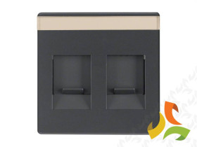 BERKER Q.1/Q.3/Q.7 Płytka czołowa do gniazda multimedialne podwójne z zasuwami i polem opisowym antracyt aksamit lakierowany 118