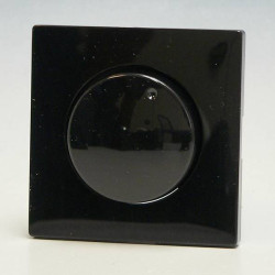 PEHA by Honeywell Zaślepka Osłona 843813 1 szt.