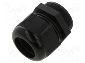 AIO-BSCS-27