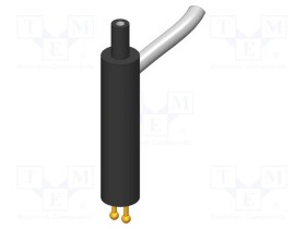 IGN-33513