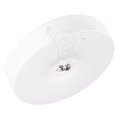 Starlet Fi 145 round n/t SC150 NM 3h MT intelight