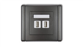 Flexi Gniazdo Podwójne 2Xusb-Aa 3.0 Grafitowy 11Fgusb-6