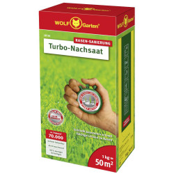 WOLF-Garten 3826031 Lawn Seed LR50 1kg for 50m&#xB2; Box