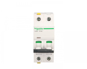 Wyłącznik nadprądowy 2P B 40A 6kA AC iC60N-B40-2 Acti9 A9F03240