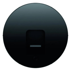 Berker R.1/R.3 Element centralny z zasuwą chroniącą przed kurzem czarny, połysk 11702045