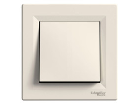 ASFORA Wyłącznik 2-biegunowy kremowy z ramką EPH0200123 SCHNEIDER ELECTRIC