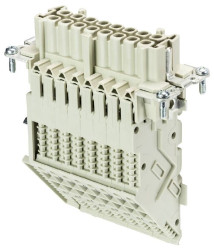 Adapter wielopolowy 70.105.1653.3 Wieland Electric Łączna ilość styków 16 10 szt.