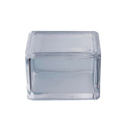 Rapid Staining Trough with Lid - Heavy Duty Single