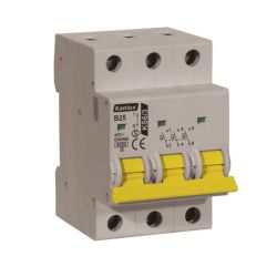 Wyłącznik nadprądowy, S303 B25,