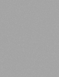 Folie do polerowania złączy światłowodowych, Węglik krzemu, dł.: 280mm, szer.: 216mm, 9μm, Szary