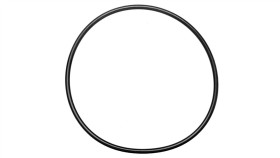 Uszczelka Do Dławnicy Pg48 Skindicht O-Ring Perbunan Pg 48/55X2 52005770...