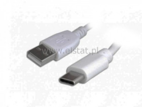 Kabel WT USB - WT USB typ C 1m (2.0) biały