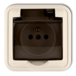 LIZA Gniazdo bryzgoszczelne z/u (klapka dymna) beżowy 1GPH-1zd