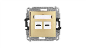 Icon Mechanizm Gniazda Podwójnego 2Xusb C-C Złoty 29Igusb-8