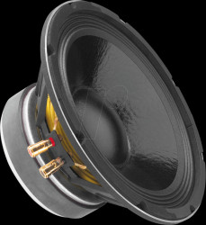 SP-10A/302PA Bass-midrange speaker SP-10A/302PA, 300 W, 8 ohms