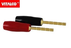 WTYK KOLUMN.GLOSN.VITALCO