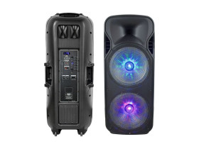 VT-6215-2 150W Przenośny głośnik karaoke bluetooth gniazdo USB slot na kartę micro SDgniazdo AUX2x MikrofonPodświetlenie LED(2*3