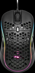 4044951029303 Gaming mouse (Mouse), USB, RGB, black