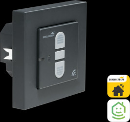 21007 Smart Home Receiving Switch