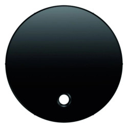 R.1/R.3 Płytka czołowa do łącznika cięgłowego, czarny, połysk 11462045