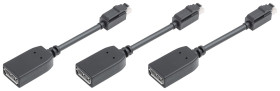 Adapter Display Port B: Złącze DP (Display Port) Mini męskie A: Display Port Siemens
