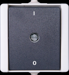 540256000 proAQA - Off switch, 2-pole, grey