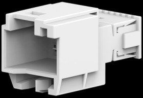 Plug, unequipped, 10 pole, straight, 2 rows, natural, 2-1719843-5