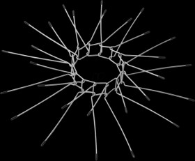 62364INT Marten repellent belt set of 2