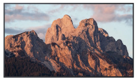 NSD-4303 - monitor 43"