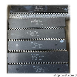 318072-01 5719 Commodore Amiga A2000 DIP48 CSG USED
