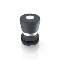 Podświetlany łącznik przyciskowy Zatrzaskowy średnica wycięcia 22.3mm Przewlekany RAFI