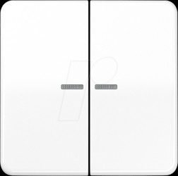 BTCD17102WW Bluetooth pushbutton, dual, alpine white