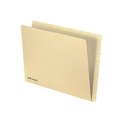 Leitz 2432-00-11 Suspension file insert 100 pc(s)