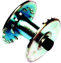 Ściernica krążkowa