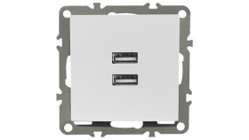 Quadra Gniazdko Podtynkowe Usb 2.1A Do Ramki