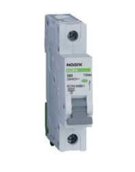 Ex9BN 1P C25 Wyłącznik nadprądowy (100100)