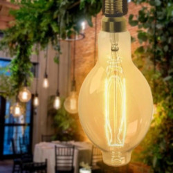 Żarówka Seligit ED118 60W E27 two sides Leaf BIG