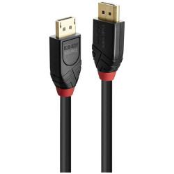 LINDY 41169 DisplayPort Cable Black 10.00 m gold plated connectors