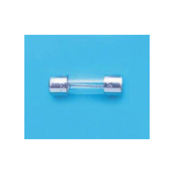 Belfuse 5ET 10-R Micro Fuse 10A 250V Bulk 1piece