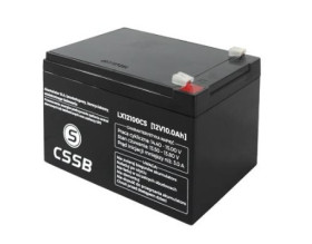 AKUM.12V 10AH SLA