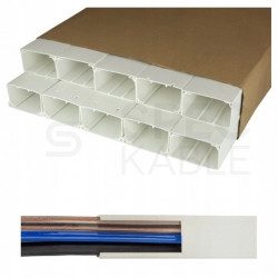 Listwa elektroinstalacyjna kanał kablowy BKK 100x60mm korytko z pokrywą KARTON= 20m (10szt)
