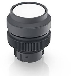 RAFI 1.30.240.401/1007 1.30.240.401/1007 Przycisk podświetlany chwilowy (D x S x W) 29.8 x 29.8 x 35.5 mm 1 szt.