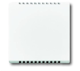 Busch-Jaeger Zaślepka Osłona Axcent biały, biały 2CKA006599A2835 1 szt.