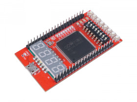 Gowin RUNBER FPGA Development Board